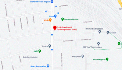Problemy małych archiw&oacute;w na przykładzie Instytutu Polsko-Skandynawskiego 